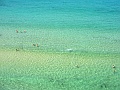 IMG_8677