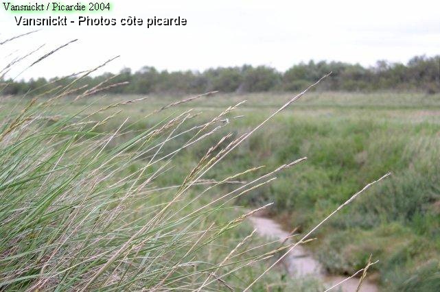 P8260030_big.jpg
