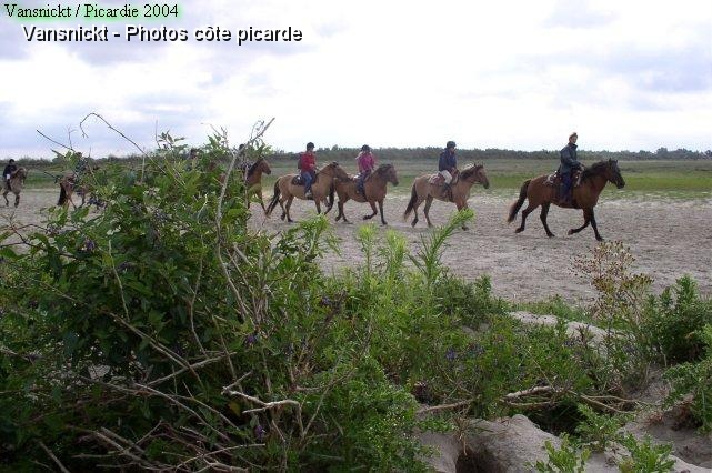 P8260045_big.jpg - Cavaliers en ballade.