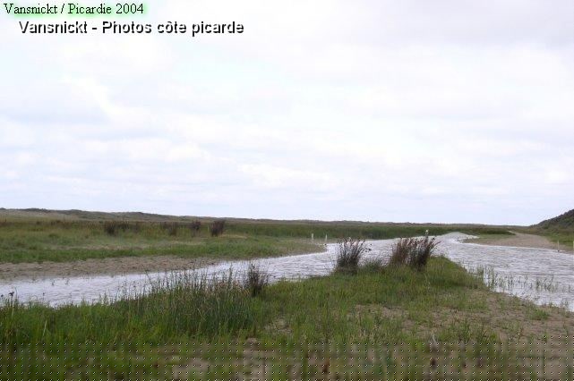 P8260052_big.jpg
