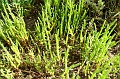 P8110107_big