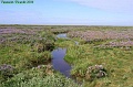 P8110108_big