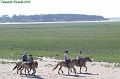 P8110123_big