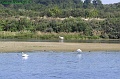 P8110126_big