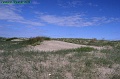 P8110130_big
