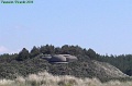 P8110134_big