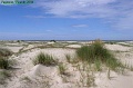 P8110137_big