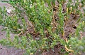 P8260026_big