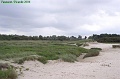 P8260029_big