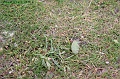 P8260031_big