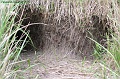 P8260032_big
