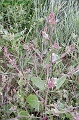 P8260033_big