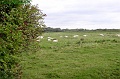 P8260037_big
