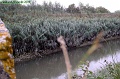P8260038_big