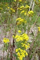 P8260044_big