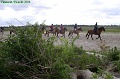 P8260045_big