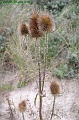 P8260054_big