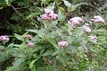 P8260058_big