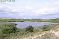 P8260063_big