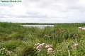 P8260064_big