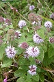 P8260065_big
