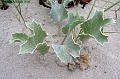 P8260067_big