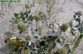 P8260068_big