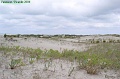 P8260070_big