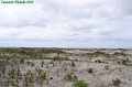 P8260071_big