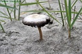 P8260073_big