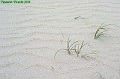 P8260074_big