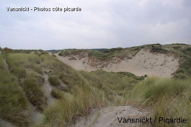 P8291640_big.jpg - Massif dunaire.