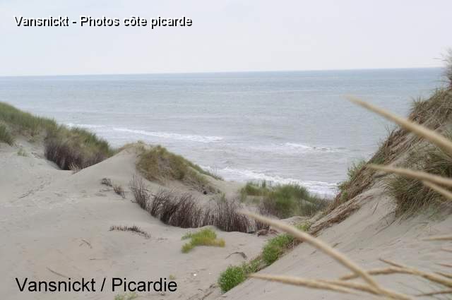P8291659_big.jpg - Trouée, remarquer la présence de palissades pour retenir le sable.